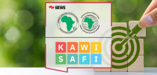 African-Development-Bank-Group’s-Sustainable-Energy-Fund-for-Africa-Approves-$10-Million-Contribution-to-KawiSafi-II-Clean-Energy-Fund