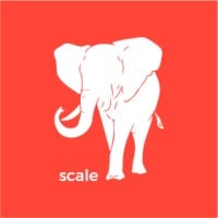 Scale