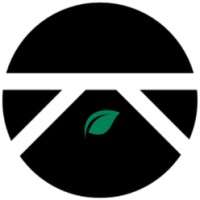 Melanin Kapital