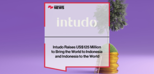 intudo