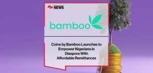 Bamboo