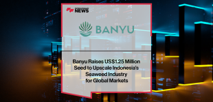 banyu