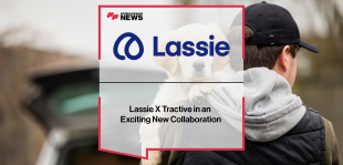 lassie