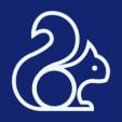 Money Squirrel