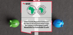 Cameroon Country Report 2025 launch by African Development Bank