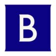 Brunswick Group