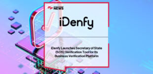 iDenfy Secretary of State KYB tool for business verification
